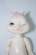 NOBILTYDOLL/sakura　SCON A-24-05-22-1125-TN-ZU