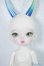 画像1: tokissi/cartarpillar A-24-07-31-1135-TN-ZA (1)
