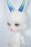 画像2: tokissi/cartarpillar A-24-07-31-1135-TN-ZA (2)