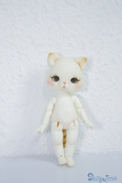 画像4: neo angelregion/goyangr-i A-24-07-31-1137-TN-ZU