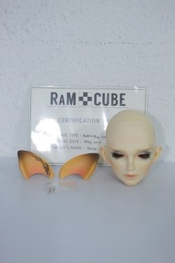 画像5: RAM+CUBE/CAMILL A-24-05-22-1132-TN-ZU