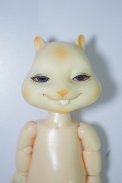 画像1: nobility doll/citrus scon A-24-05-22-1131-TN-ZU