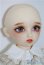 画像6: Dear　sd/キラ U-24-05-28-215-TN-ZU