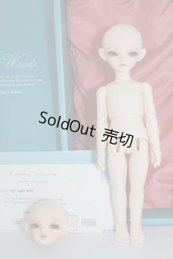 画像9: peakswoods/FOF：rabbit waltz A-24-05-29-1104-TN-ZU