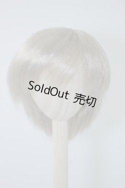 画像1: 9〜10inchウィッグ U-24-05-21-090-TN-ZU