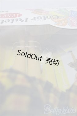 画像3: ジェニー/カラーパレット A-24-07-03-270-YB-ZA