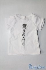 SD&DD/OF:Tシャツ U-24-05-28-088-TN-ZU