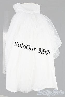 画像5: SD16G/OF:ドレス/1/3　70ｃｍ　BJD　MJD　衣装　ドール用 I-25-11-30-139-TN-ZI