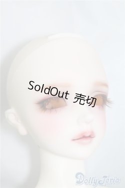 画像6: SD13女の子/エリザベス U-24-06-11-219-TN-ZU