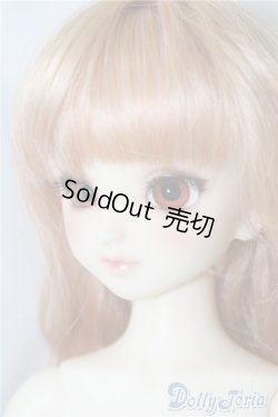 画像3: SDM/コーディネートF-40 U-24-06-11-211-TN-ZU