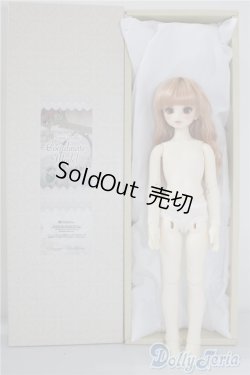 画像4: SDM/コーディネートF-40 U-24-06-11-211-TN-ZU