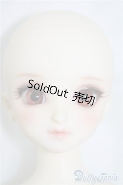 画像5: SDM/コーディネートF-40 U-24-06-11-211-TN-ZU