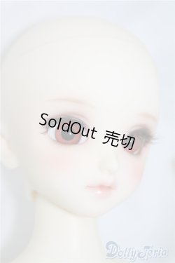 画像6: SDM/コーディネートF-40 U-24-06-11-211-TN-ZU