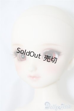 画像7: SDM/コーディネートF-40 U-24-06-11-211-TN-ZU