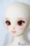 画像7: SDM/コーディネートF-40 U-24-06-11-211-TN-ZU