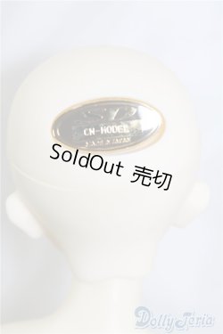 画像8: SDM/コーディネートF-40 U-24-06-11-211-TN-ZU