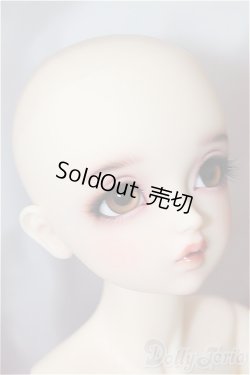 画像3: SDGr/OF：リボンの騎士 サファイア　衣装 U-24-06-25-219-TN-ZU