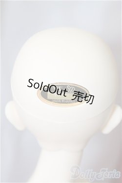 画像4: SDGr/OF：リボンの騎士 サファイア　衣装 U-24-06-25-219-TN-ZU