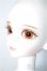 画像5: LUTS SENIOR DELF/ANI A-24-07-17-1148-TN-ZU