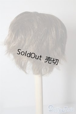 画像2: 9〜10inchウィッグ U-24-08-13-019-TN-ZU