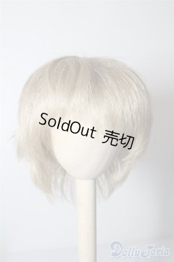 画像1: 9〜10inchウィッグ U-24-08-13-026-TN-ZU