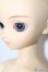 画像2: SD/スタンダード:のの(旧) U-24-07-30-216-TN-ZU (2)