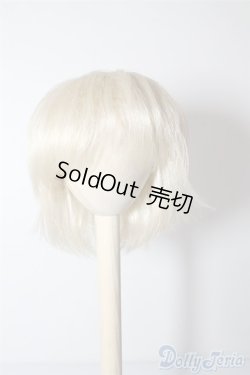 画像1: 9〜10inchウィッグ U-24-08-13-040-TN-ZU