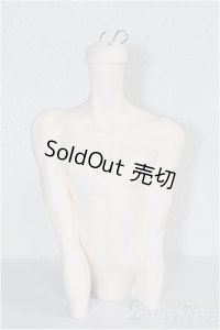MIRACLE DOLL/Sariel Torso A-24-08-07-1141-TN-ZU
