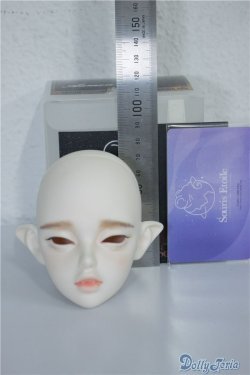 画像4: Souris Etoile/AAMON/ A-25-04-23-358-TN-ZA