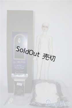 画像8: SD17男の子/セイブル・スネイプ U-24-08-20-219-TN-ZU