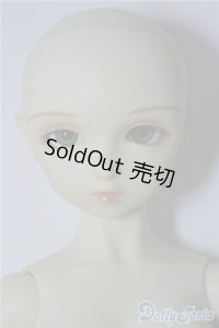 SD女の子/フルチョイスF-15 U-24-08-20-213-TN-ZU