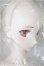 画像3: Dddy/ ヨル・フォージャー：SPY FAMILY A-24-08-28-1117-KD-ZU
