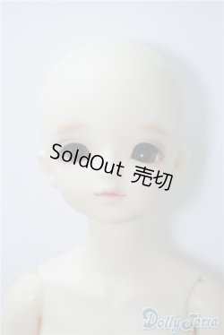 画像2: SDM女の子/フルチョイス：F-34 U-24-09-03-214-TN-ZU