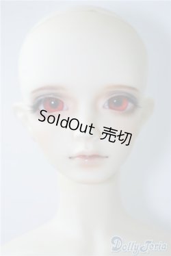 画像1: LEEKEWORLD/Ltype:LION　　 A-24-09-17-1146-TN-ZU