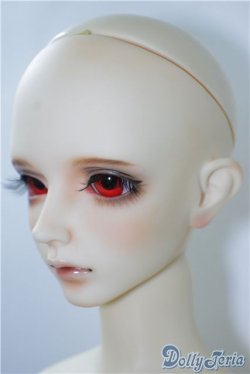 画像3: LEEKEWORLD/Ltype:LION　　 A-24-09-17-1146-TN-ZU