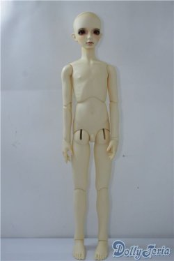 画像5: LEEKEWORLD/Ltype:LION　　 A-24-09-17-1146-TN-ZU