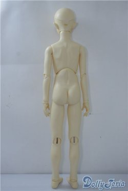 画像6: LEEKEWORLD/Ltype:LION　　 A-24-09-17-1146-TN-ZU