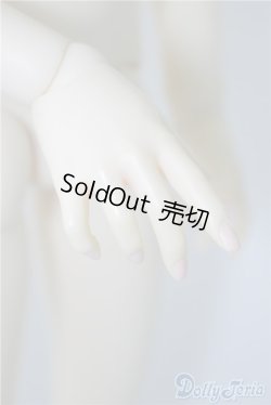 画像7: LEEKEWORLD/Ltype:LION　　 A-24-09-17-1146-TN-ZU