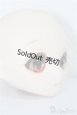 画像2: PARABOX/姫姉カスタムヘッド A-25-01-01-1070-TN-ZU