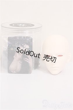 画像4: MARS DOLL/LIMITED HWI/BJD　球体関節人形 A-25-11-12-101-TN-ZA