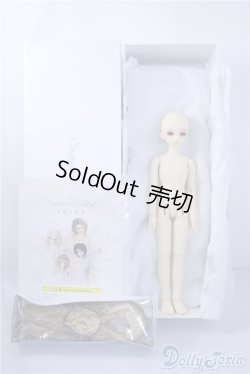 画像4: SDM/フルチョイス:F-33 U-24-10-29-218-TN-ZU