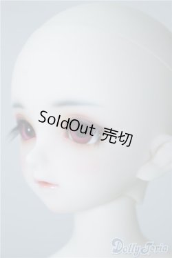 画像4: SDM/フルチョイス:F-33 U-24-10-22-220-TN-ZU