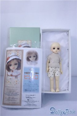 画像5: 幼SD/ピッコロ U-24-10-29-220-TN-ZU