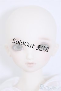 SD/まい：スタンダードモデル U-24-10-29-219-TN-ZU