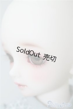 画像4: SDM女の子/コーディネートモデルF-50 U-24-11-05-215-TN-ZU