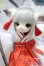 画像1: 【新宿マルイアネックス店 店頭販売商品】DOLLZONE/Mini Kitty　2100130000016541-ZM (1)