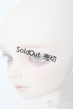 画像4: SDMBOY/ギルバート 星間学寮Ver. U-24-11-05-220-TN-ZU