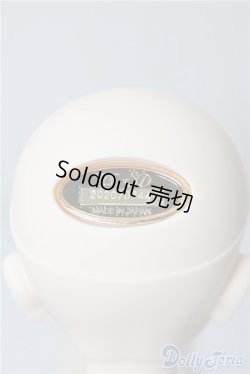 画像5: SDMBOY/ギルバート 星間学寮Ver. U-24-11-05-220-TN-ZU