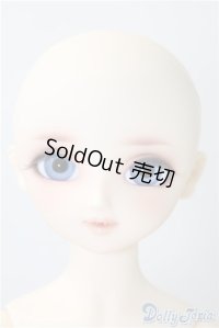 Dear SD/凌 U-24-11-12-215-KD-ZU