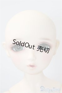 Dear SD/翔 U-24-11-12-216-KD-ZU